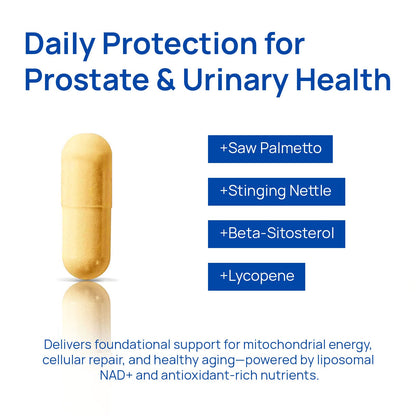 NAD+ Supplement for Men