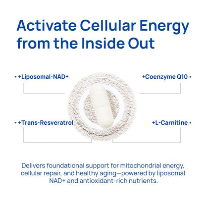 Liposomal NAD+ for Men