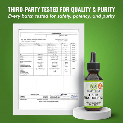 Chlorophyll Drops For Gut Health & Body Odor