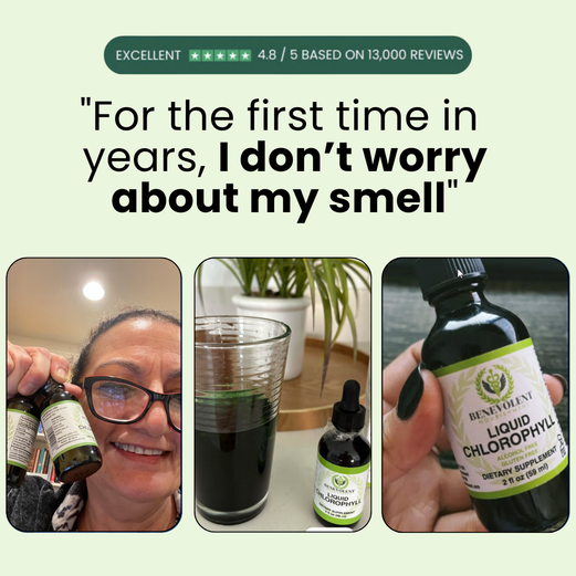 Chlorophyll Drops For Gut Health & Body Odor