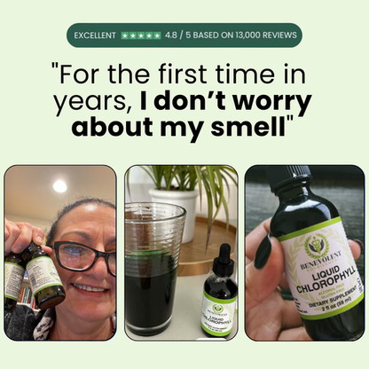 Chlorophyll Drops For Gut Health & Body Odor