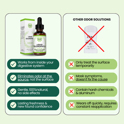 Chlorophyll Drops For Gut Health & Body Odor