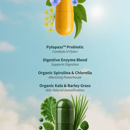 Gut Glow Bundle - Gut Health + Spirulina & Chlorella 🍃
