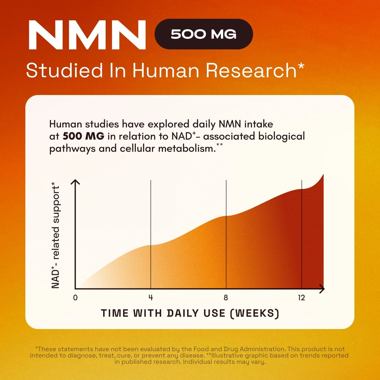 NMN – Supports Cellular Energy & NAD+ Levels