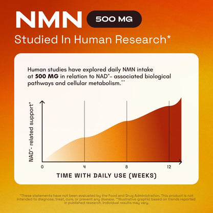 NMN – Supports Cellular Energy & NAD+ Levels