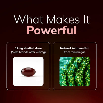 atc Clenvital Astaxanthin - Nature’s Most Powerful Antioxidant for Whole Body Support & Cellular Protection