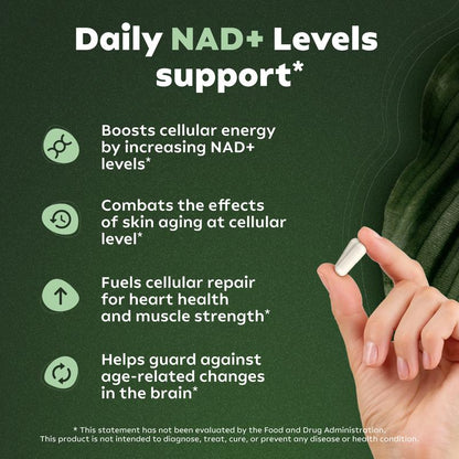 NR900 NAD+ Supplement for Energy, Focus, and Skin Aging Support - 80 Capsules 🍃